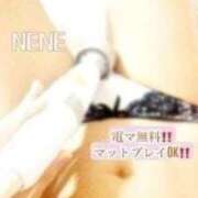 ヒメ日記 2026/04/15 11:55 投稿 ねね Body Specia1～ボディスペシャル～