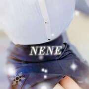 ヒメ日記 2026/04/29 22:55 投稿 ねね Body Specia1～ボディスペシャル～