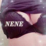 ヒメ日記 2026/04/30 14:06 投稿 ねね Body Specia1～ボディスペシャル～