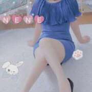 ヒメ日記 2026/06/09 10:00 投稿 ねね Body Specia1～ボディスペシャル～