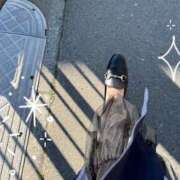 ヒメ日記 2026/04/08 09:42 投稿 月野 モアグループ所沢人妻城