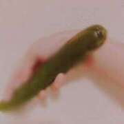 ヒメ日記 2025/02/10 20:00 投稿 片瀬(かたせ)奥様 新潟人妻デリバリーヘルス下心