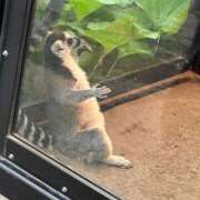 ヒメ日記 2025/05/24 22:10 投稿 じゅん 池袋マリン別館