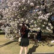 ヒメ日記 2025/04/15 14:29 投稿 ゆに One More奥様　蒲田店