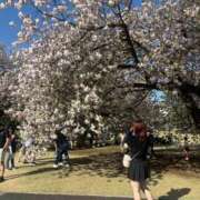 ヒメ日記 2025/04/17 18:04 投稿 ゆに One More奥様　蒲田店