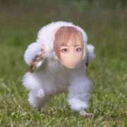 ヒメ日記 2025/03/28 06:22 投稿 いつき 池袋マリン別館