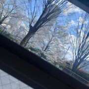 ヒメ日記 2025/04/13 06:19 投稿 ゆき 池袋マリン別館