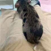 ヒメ日記 2025/04/25 12:20 投稿 ゆき 池袋マリン別館