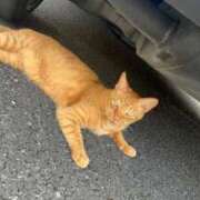 ヒメ日記 2025/06/16 09:40 投稿 ゆき 池袋マリン別館