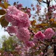 ヒメ日記 2025/04/22 22:15 投稿 ゆら ビギナーズ神戸