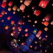 ヒメ日記 2025/11/26 17:58 投稿 しいな わちゃわちゃ密着リアルフルーちゅ西船橋