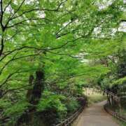 ヒメ日記 2025/04/20 15:04 投稿 まりあ ふぞろいの人妻たち