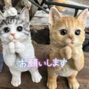 ヒメ日記 2025/02/22 21:48 投稿 ドミンゴ 西川口デッドボール