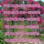 ヒメ日記 2025/02/28 00:58 投稿 ドミンゴ 西川口デッドボール