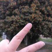 ヒメ日記 2025/11/01 12:38 投稿 ドミンゴ 西川口デッドボール