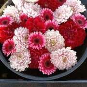 ヒメ日記 2026/04/23 18:48 投稿 ドミンゴ 西川口デッドボール