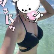 ヒメ日記 2025/01/22 11:46 投稿 ふみの ワンダーホール24in幕張