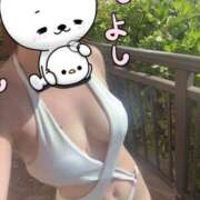 ヒメ日記 2025/01/23 11:31 投稿 ふみの ワンダーホール24