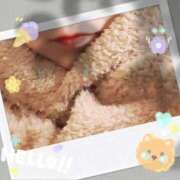 まゆ こんばんはです！ 川崎三浦屋