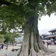 ヒメ日記 2025/08/14 07:46 投稿 ゆう 川崎三浦屋