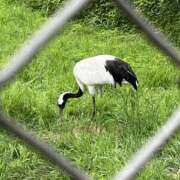 ヒメ日記 2025/08/27 07:34 投稿 ゆう 川崎三浦屋