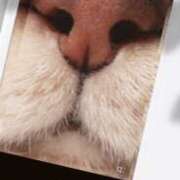 ヒメ日記 2025/08/31 08:21 投稿 ゆう 川崎三浦屋