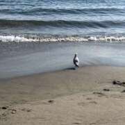 ヒメ日記 2025/09/11 07:28 投稿 ゆう 川崎三浦屋