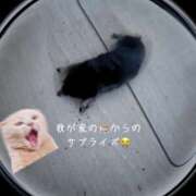 ヒメ日記 2025/09/17 07:44 投稿 ゆう 川崎三浦屋