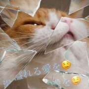 ヒメ日記 2025/10/02 07:31 投稿 ゆう 川崎三浦屋