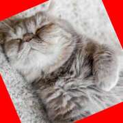 ヒメ日記 2025/10/04 07:56 投稿 ゆう 川崎三浦屋