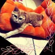 ヒメ日記 2025/10/07 07:31 投稿 ゆう 川崎三浦屋