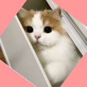 ヒメ日記 2025/10/19 07:39 投稿 ゆう 川崎三浦屋