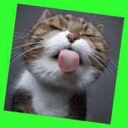 ヒメ日記 2025/10/29 07:24 投稿 ゆう 川崎三浦屋