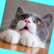 ヒメ日記 2025/10/30 07:31 投稿 ゆう 川崎三浦屋