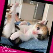 ヒメ日記 2025/11/01 07:14 投稿 ゆう 川崎三浦屋