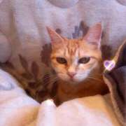 ヒメ日記 2025/11/04 07:28 投稿 ゆう 川崎三浦屋