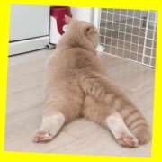 ヒメ日記 2025/11/18 08:04 投稿 ゆう 川崎三浦屋