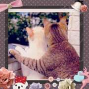 ヒメ日記 2025/11/20 07:36 投稿 ゆう 川崎三浦屋