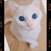 ゆう 🌤️ 川崎三浦屋