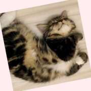 ゆう 🌧️〜🌤️ 川崎三浦屋