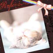 ヒメ日記 2025/12/25 07:32 投稿 ゆう 川崎三浦屋