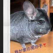 ヒメ日記 2026/02/01 07:42 投稿 ゆう 川崎三浦屋