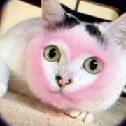 ヒメ日記 2026/02/05 07:59 投稿 ゆう 川崎三浦屋