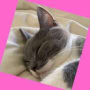 ヒメ日記 2026/02/15 07:45 投稿 ゆう 川崎三浦屋