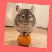 ヒメ日記 2026/03/08 07:55 投稿 ゆう 川崎三浦屋