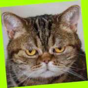 ヒメ日記 2026/03/14 07:14 投稿 ゆう 川崎三浦屋