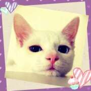 ヒメ日記 2026/10/04 07:45 投稿 ゆう 川崎三浦屋