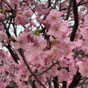 ヒメ日記 2025/03/31 20:45 投稿 三谷 せりな 神戸RED DRAGON