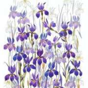 ヒメ日記 2025/05/02 13:31 投稿 三谷 せりな 神戸RED DRAGON