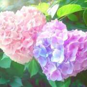 ヒメ日記 2025/05/18 20:01 投稿 三谷 せりな 神戸RED DRAGON